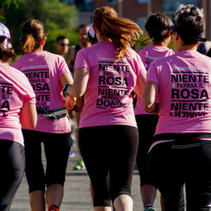 Fundraising-cat-image